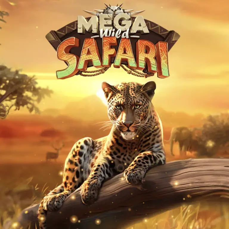 Mega Wild Safari